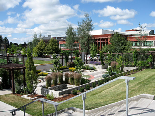 Open garden on campus with trees and brick buildings in the background