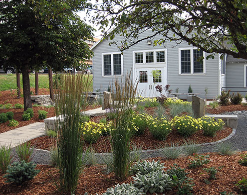 Garden with flowers, grasses, small trees, and mulch